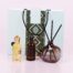 Harmony Gift